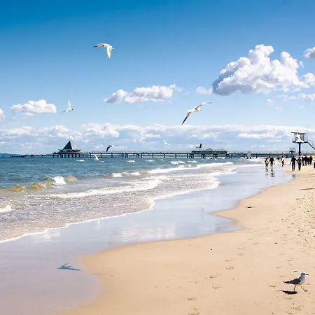 Wald Und 3* Heringsdorf (Usedom)