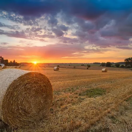 ホテル Wald Und ゼーバート・ヘリングスドルフ