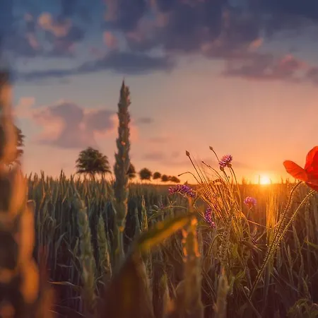 Wald Und ホテル ゼーバート・ヘリングスドルフ