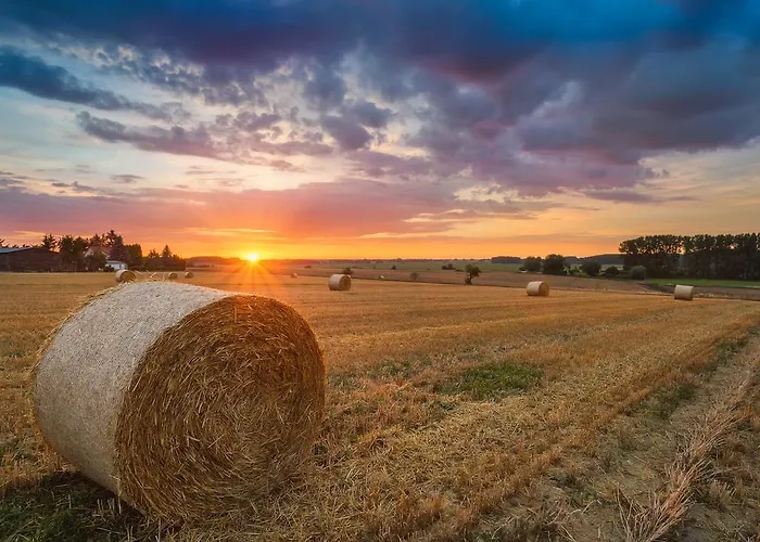 Hotel Wald Und Ostseebad Heringsdorf